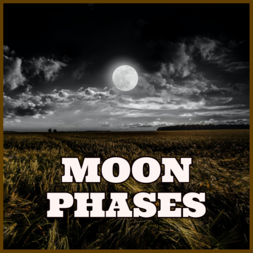 Moon Phases SFW Courses